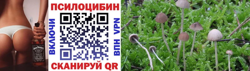 Галлюциногенные грибы Psilocybine cubensis  Собинка 
